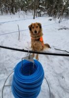 AutumnTubing24.jpg
