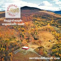 Meridan Hill Maple Aerial