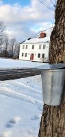 Maple bucket & house.jpg