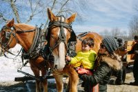 Horses with child ELord-917822.jpg