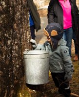 child staring into bucket2.jpg