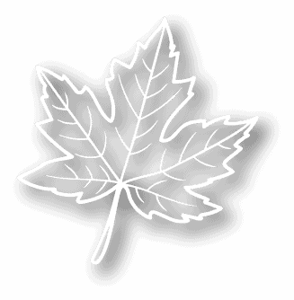 Maple leaf icon